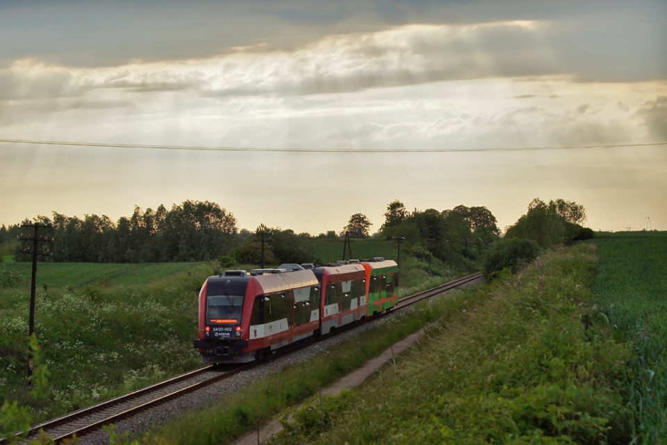 Autor zdjęcia: Kudak [CC BY-SA 4.0 (https://creativecommons.org/licenses/by-sa/4.0)], from Wikimedia Commons